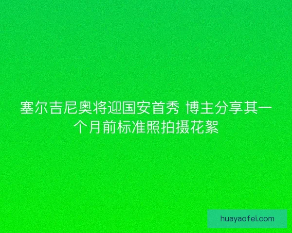 塞尔吉尼奥将迎国安首秀 博主分享其一个月前标准照拍摄花絮