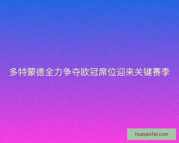 多特蒙德全力争夺欧冠席位迎来关键赛季