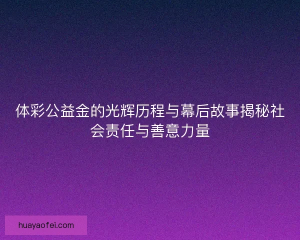 体彩公益金的光辉历程与幕后故事揭秘社会责任与善意力量
